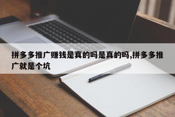 拼多多推广赚钱是真的吗是真的吗,拼多多推广就是个坑